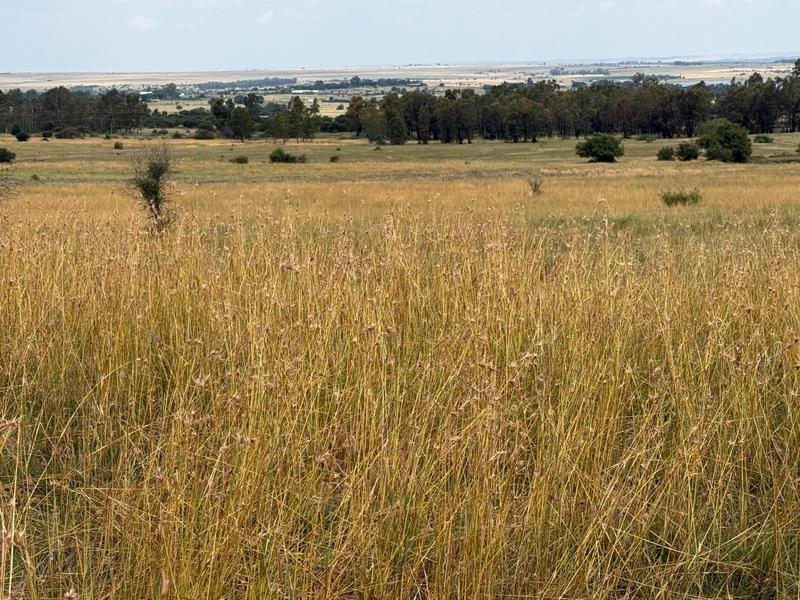 Commercial Property for Sale in Kroonstad Free State